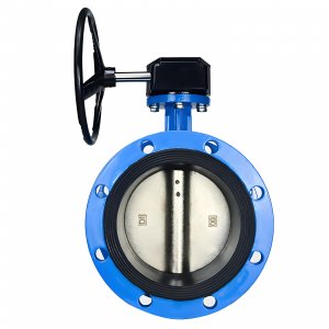 法蘭式蝸輪蝸桿蝶閥DN40，1.6Mpa（橡膠密封